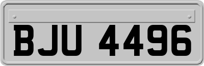 BJU4496