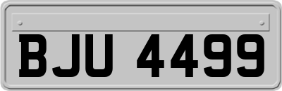 BJU4499