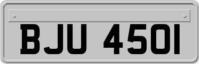 BJU4501