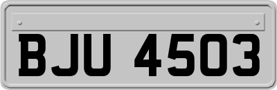 BJU4503