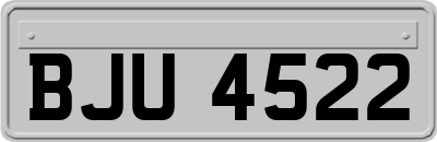 BJU4522