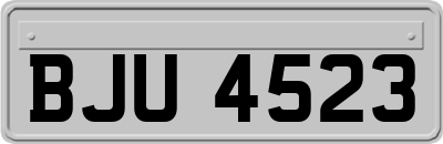 BJU4523