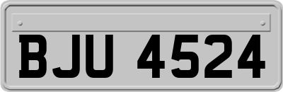 BJU4524
