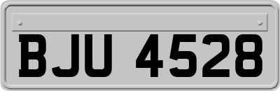 BJU4528