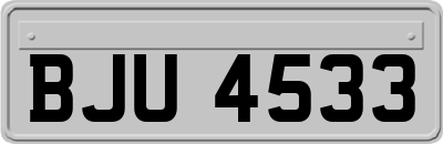 BJU4533