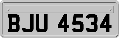 BJU4534