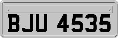 BJU4535