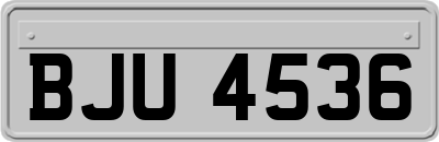 BJU4536