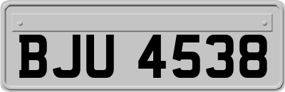 BJU4538