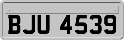 BJU4539