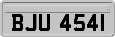 BJU4541