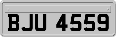 BJU4559