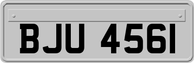 BJU4561
