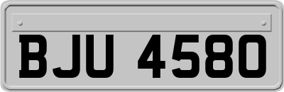 BJU4580
