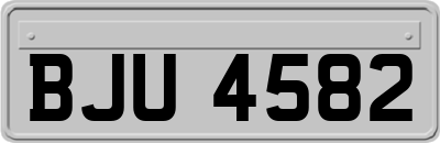 BJU4582