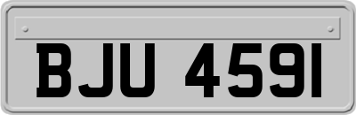 BJU4591