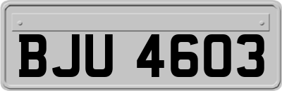 BJU4603