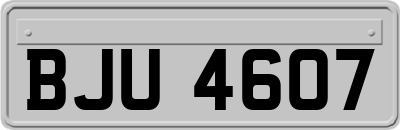 BJU4607