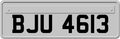 BJU4613