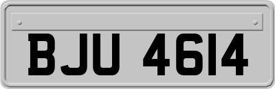 BJU4614