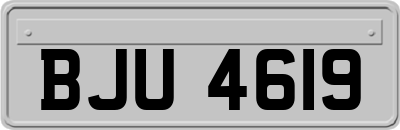 BJU4619