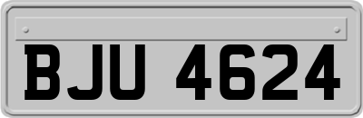 BJU4624
