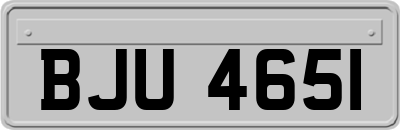 BJU4651