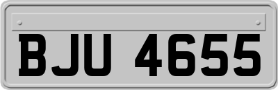 BJU4655
