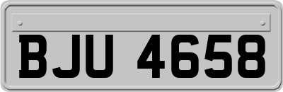 BJU4658