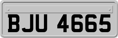 BJU4665
