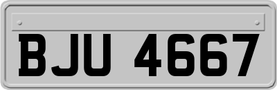 BJU4667