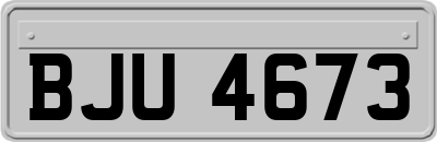 BJU4673