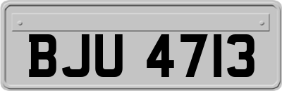 BJU4713