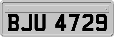 BJU4729