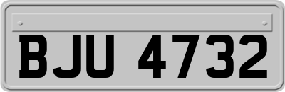 BJU4732