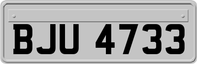 BJU4733