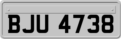BJU4738