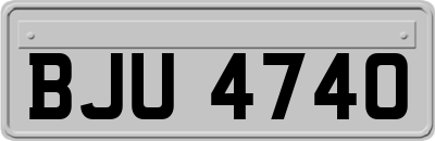 BJU4740
