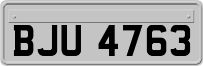 BJU4763