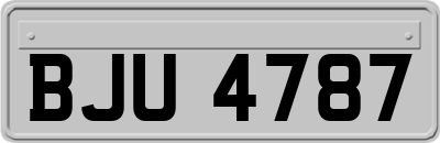 BJU4787