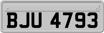 BJU4793