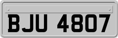 BJU4807