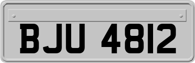 BJU4812