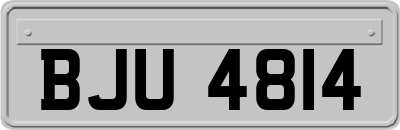 BJU4814