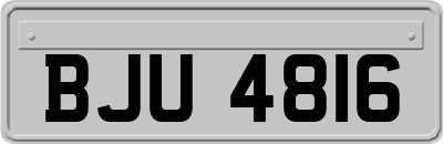 BJU4816