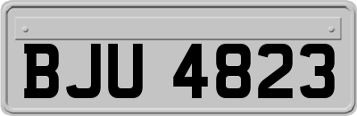 BJU4823