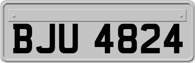 BJU4824