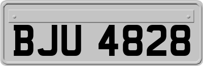 BJU4828