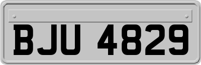 BJU4829
