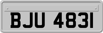 BJU4831